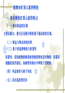 矿质2