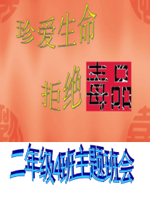 二4班禁毒主题班会课件