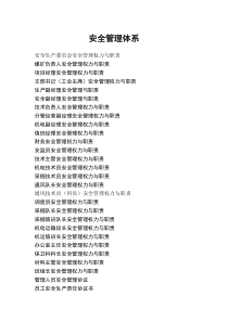 立井煤矿安全管理体系