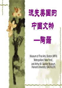 刘厅长在全省农村卫生工作现场会上的讲话
