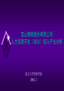 复旦管院宝山钢铁股份有限公司人力资源开发(培训)投入产出分析