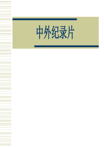 中外纪录片艺考版分析
