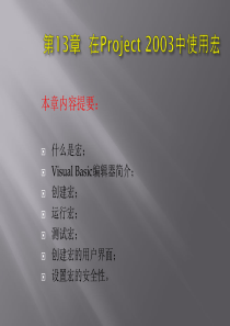 第十二章 在project2003中使用宏