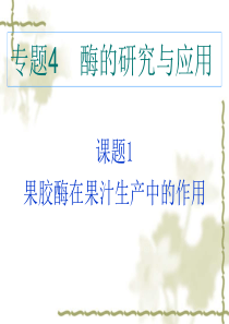 4.1果胶酶在果汁生产中的作用教程