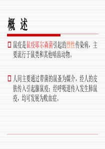 鼠疫