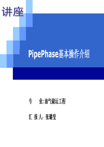 PIPEPHASE基本操作