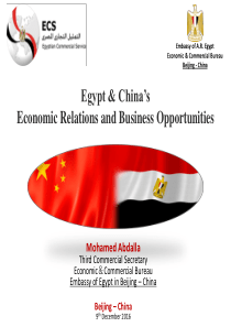 Economic Relations Between Egypt and China 埃及投资机遇分