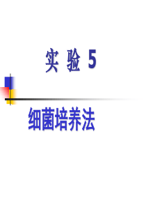 实验5 细菌的接种及分离培养