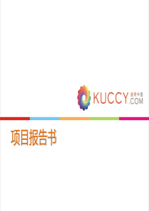 电商网战略规划