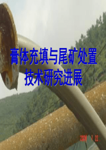 膏体充填与尾矿处置技术研究进展NEW