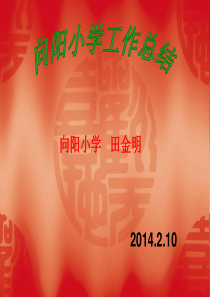 向阳小学工作总结(2014.2.10)