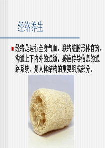 经络与美容手法