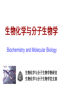 第一章蛋白质的结构与功能