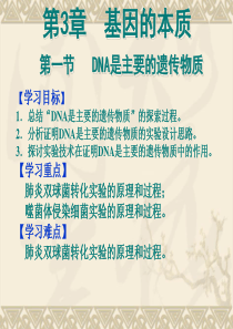 人教版必修2 3.1DNA是主要的遗传物质(共23张PPT)