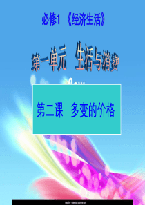 一轮复习《经济生活》第2课：多变的价格精讲