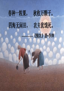 6.1《杂交育种与诱变育种》课件(新人教必修2)