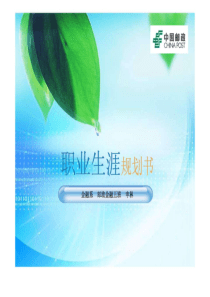 个人职业生涯规划.pt.ppt