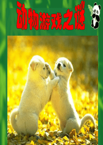 动物游戏之谜(用)