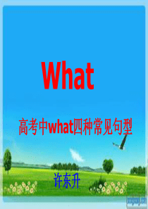 What引导的名词性从句的翻译方法