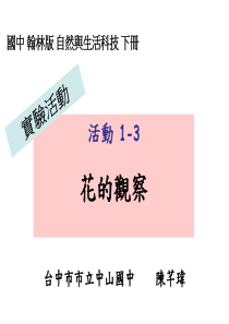 百合的子房切片胚珠
