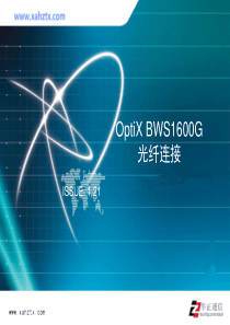 OptiX BWS1600G光纤连接