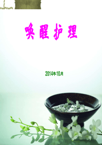 最全PPT 唤醒护理 2014.10