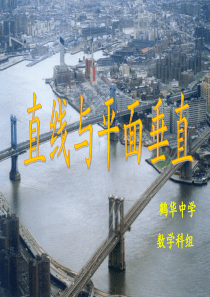 2.3.1直线与平面垂直的判定(公开课)