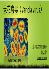 微生物讨论课剖析