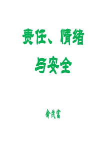 安全、责任、情绪()