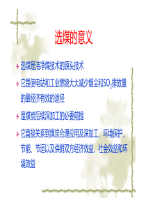 选煤