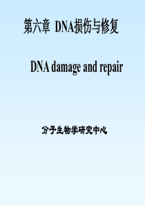 DNA损伤与修复