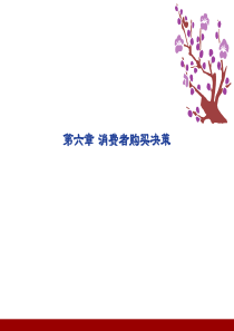 第八讲 消费者购买决策.讲述
