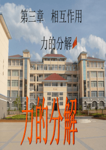 高中物理省优质课《力的分解》最优版人教必修1资料