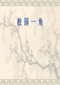 作文指导(校园一角)