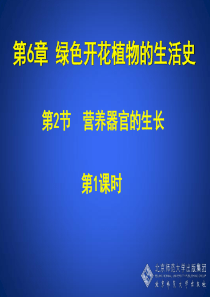 6-2营养器官的生长