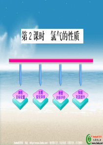 高一化学氯气的性质2