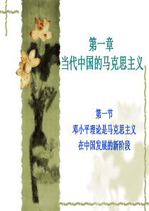 旅游政策与法规课件1当代中国的马克思主义