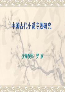 中国古代小说专题研究(16节)剖析