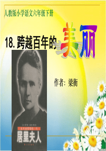 公开课《跨越百年的美丽》教学课件  上课