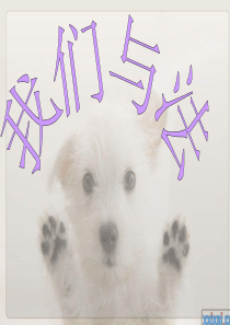 法律文秘与法律宣传・・