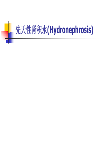 95肾积水的护理