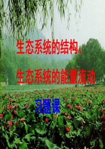 2016届高三生物复习课件 生态系统的结构、能量流动习题课