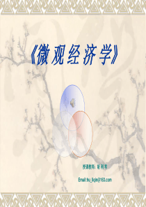 武大国际金融课件