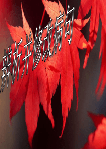 高考语文 辩析并修改病句(1)课件