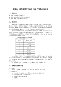 实验三-琼脂糖凝胶电泳及PCR产物的回收纯化