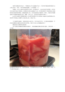 番茄-酸汤鱼