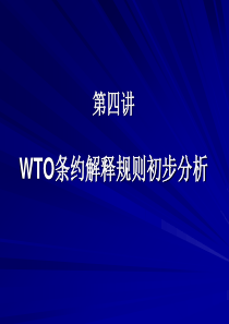 WTO条约解释规则初步分析