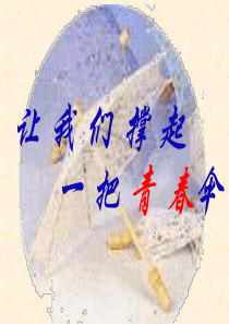 走向成熟