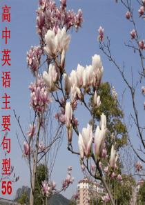 高中英语主要句型56