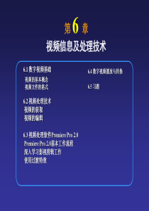 视频信息及处理技术